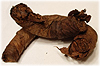 photograph of a tobacco twist