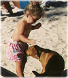 photograph of a dog sniffing the crotch of a small child on a beach
